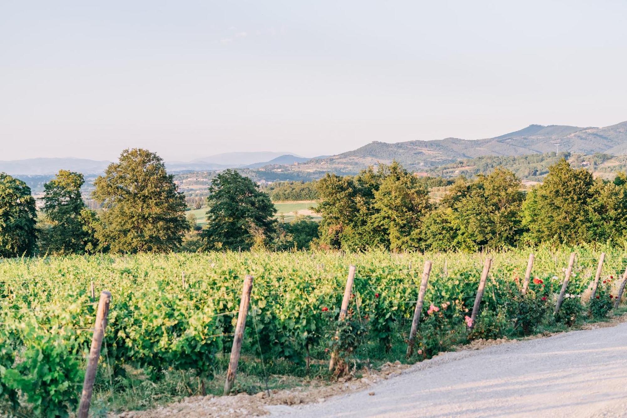Città della Pieve Borgo Siliano - Antico Podere Silianoヴィラ エクステリア 写真