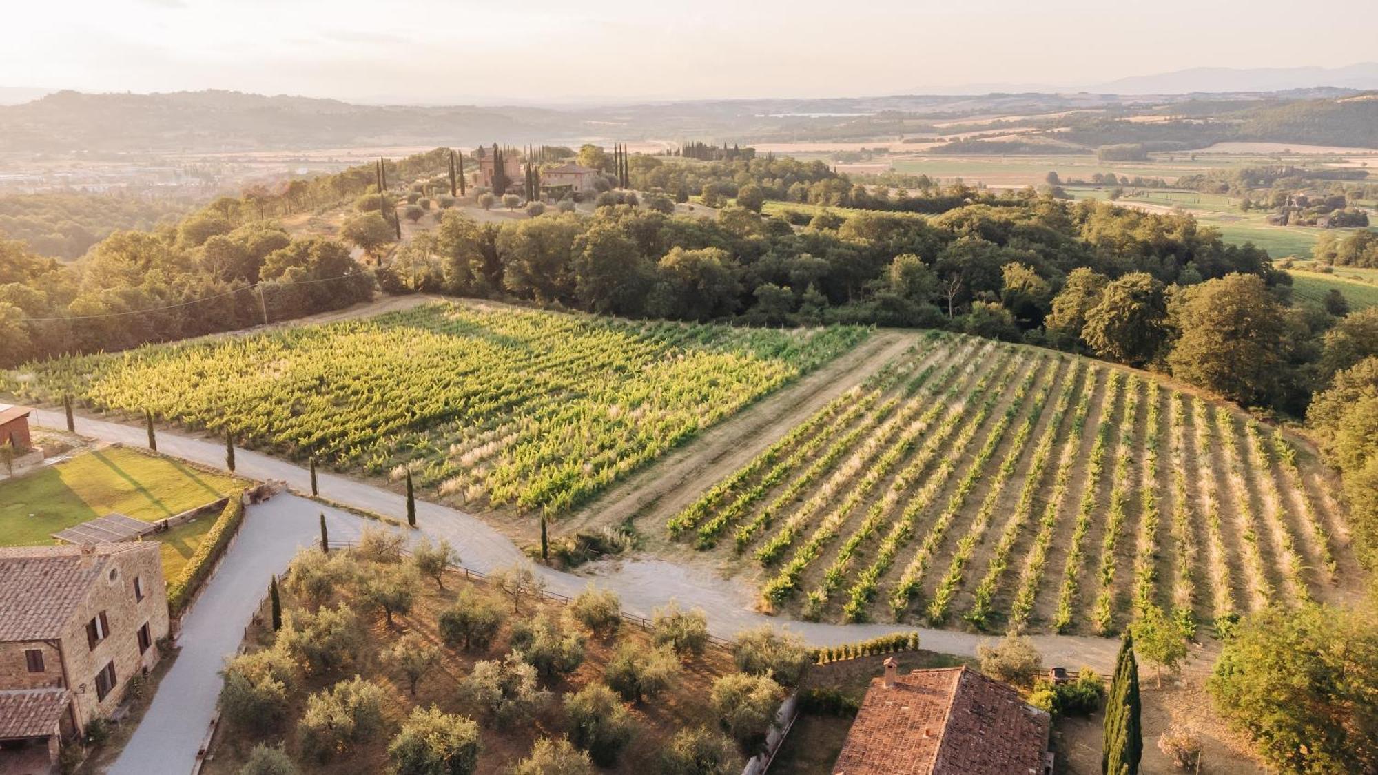 Città della Pieve Borgo Siliano - Antico Podere Silianoヴィラ エクステリア 写真